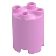 Duplo Brick Round 2 x 2 x 2 (Bright Pink)