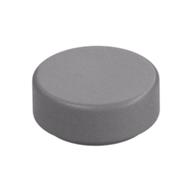 Tile Round 1 x 1 (Flat Silver)