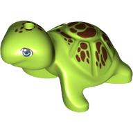 Animal, Turtle with Reddish Brown Spots Print (Lime)