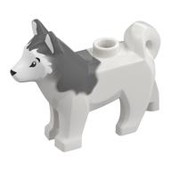 Animal, Dog, Husky with Black Eyes, Black Nose Print and Marbled Dark Bluish Gray Ears and Back Pattern (White)
