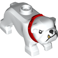 Animal, Dog, Bulldog with Tan Fangs, Red Collar (White)