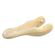 Animal Body Part, Dinosaur, Baryonyx Lower Jaw with White Teeth (Tan)