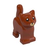 Animal, Cat, Kitten, Short Tail, Tan Muzzle Print (Dark Orange)