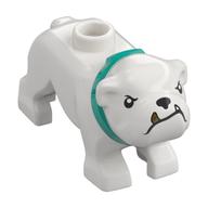 Animal, Dog, Bulldog with Tan Fangs, Dark Turquoise Collar (White)