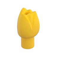 Plant, Flower, Tulip (Yellow)