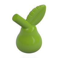 Plant, Pear (Lime)
