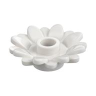 Plant, Sunflower 2 x 2 with 16 Petals (White)