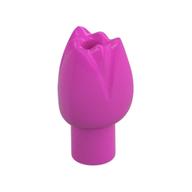 Plant, Flower, Tulip (Dark Pink)
