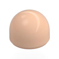 Dome 1 x 1 x 2/3 (Light Nougat)