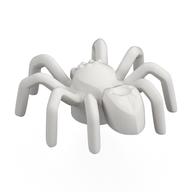 Insect, Spider with Elongated Tail Section (White)