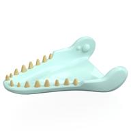 Animal Body Part, Dinosaur, Mosasaurus Lower Jaw, Tan Teeth Print (Light Aqua)
