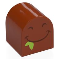 Duplo Brick 2 x 2 x 2 Curved Top with Black Eyes, Smiling Mouth, Lime Leaf Print (Dark Orange)