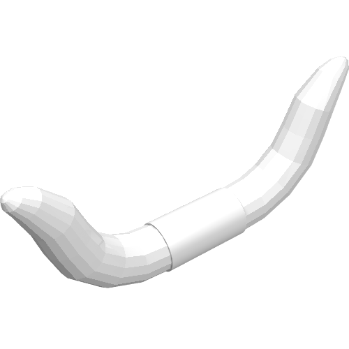Animal Body Part, Horn, Cattle (White)