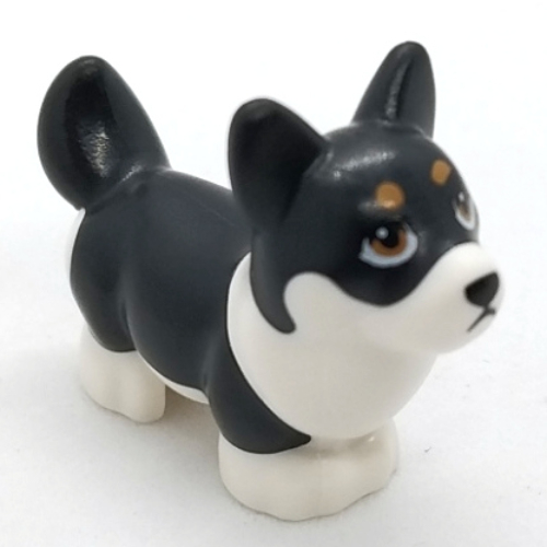 Animal, Dog, Corgi with Partially Black Fur Print (White)