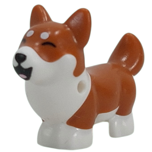 Animal, Dog, Corgi with Partially Dark Orange Fur, Laughing Print (White)