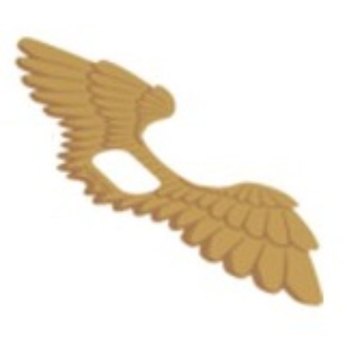 Wings, Extended with Feathers Print (Trans-Clear)