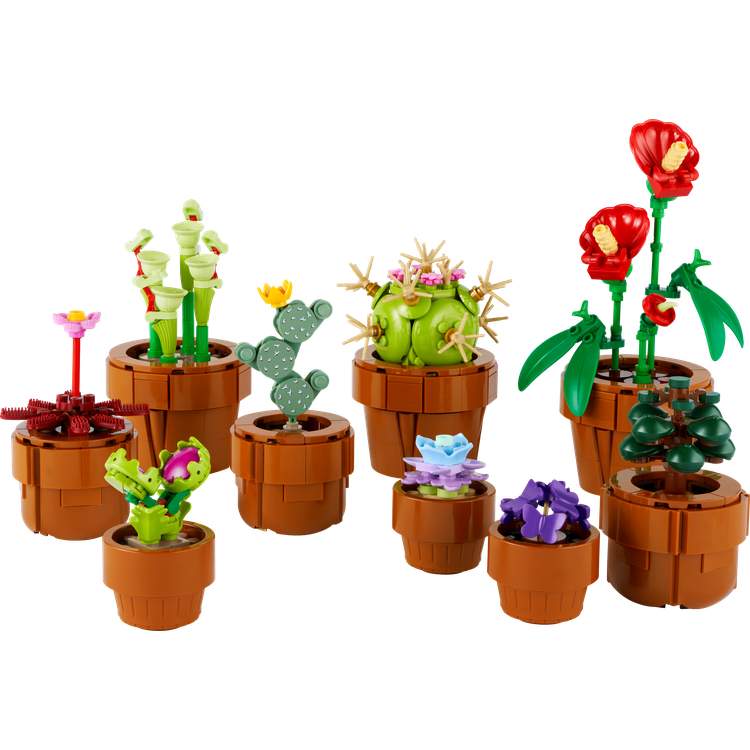 Tiny Plants