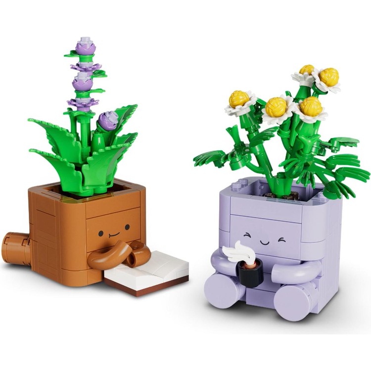 Cozy Plants