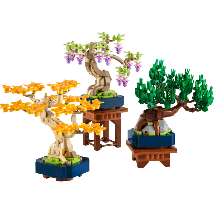 Mini Bonsai Trees
