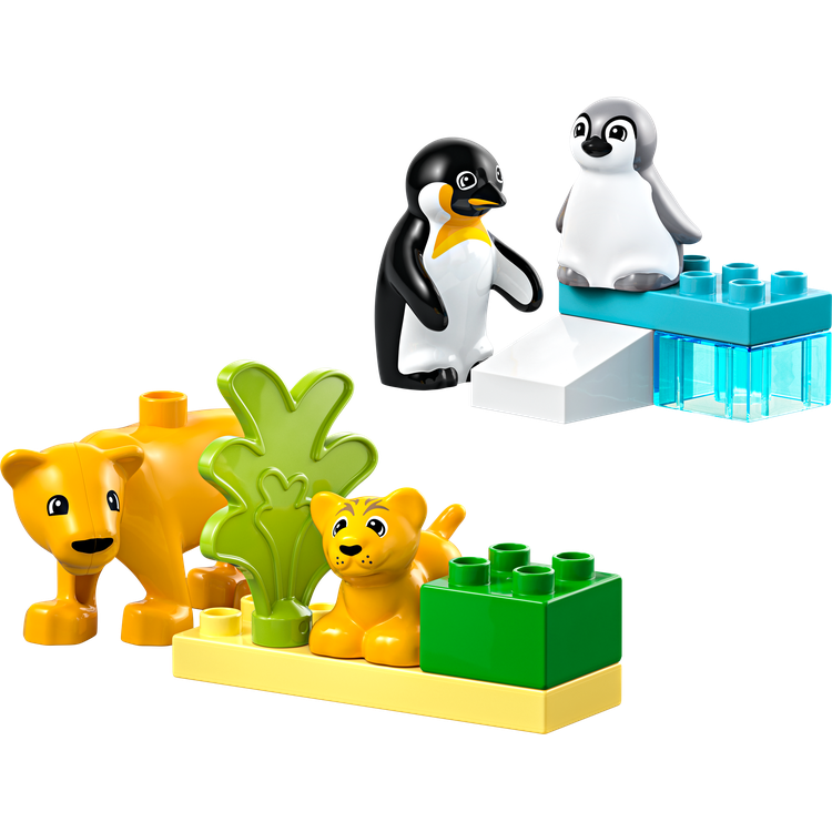Wild Animal Families: Penguins & Lions