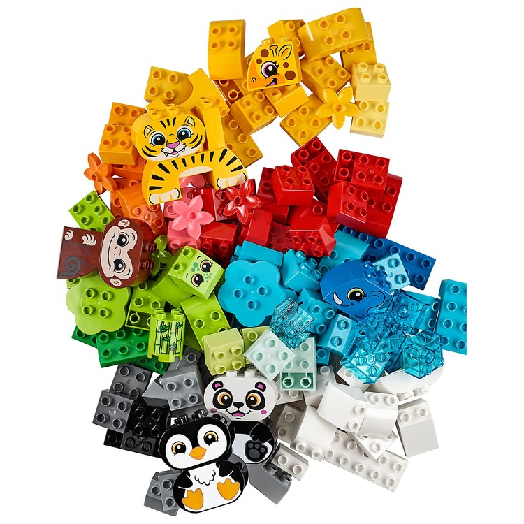 Creative Animals