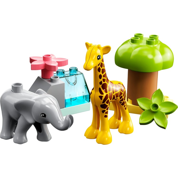 Wild Animals of Africa