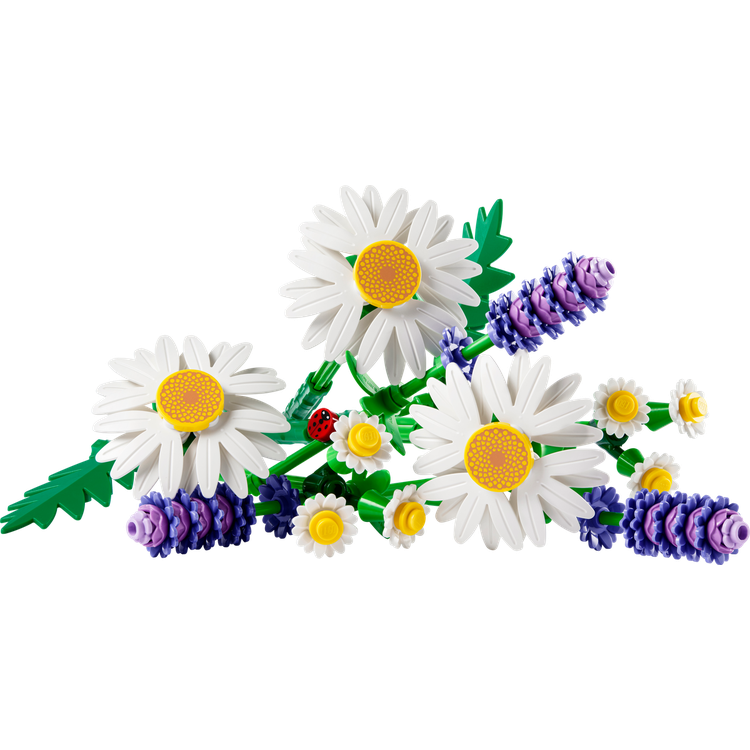 Daisies