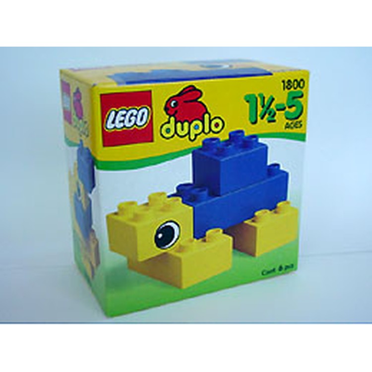 Turtle
