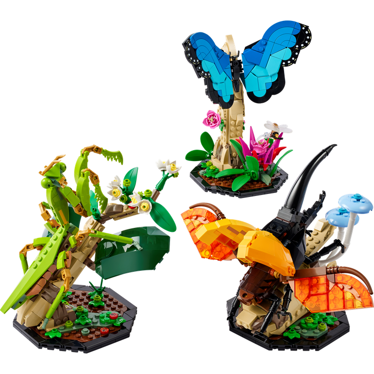 The Insect Collection
