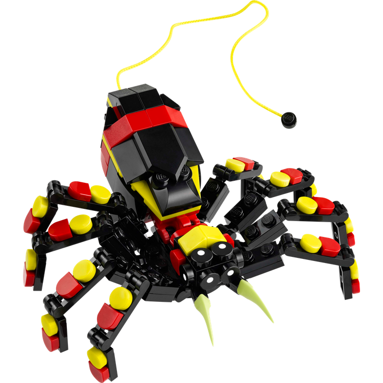 Wild Animals: Surprising Spider