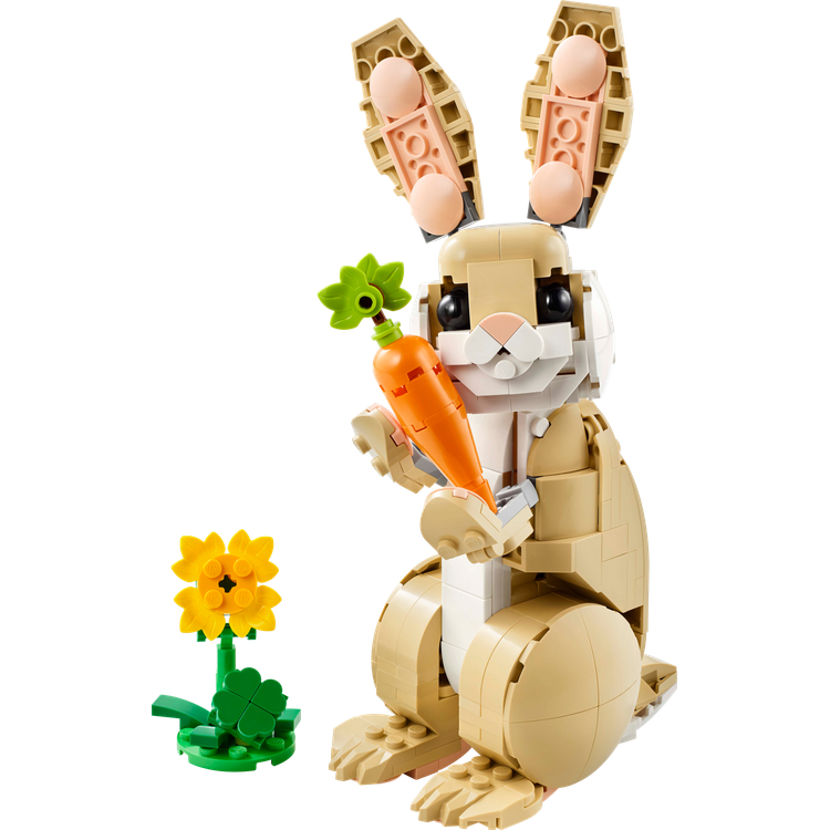 Cute Bunny