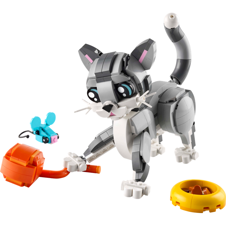 Playful Cat