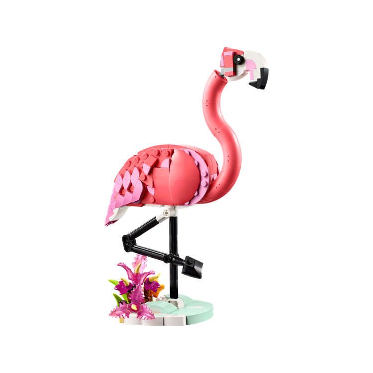 Wild Animals: Pink Flamingo