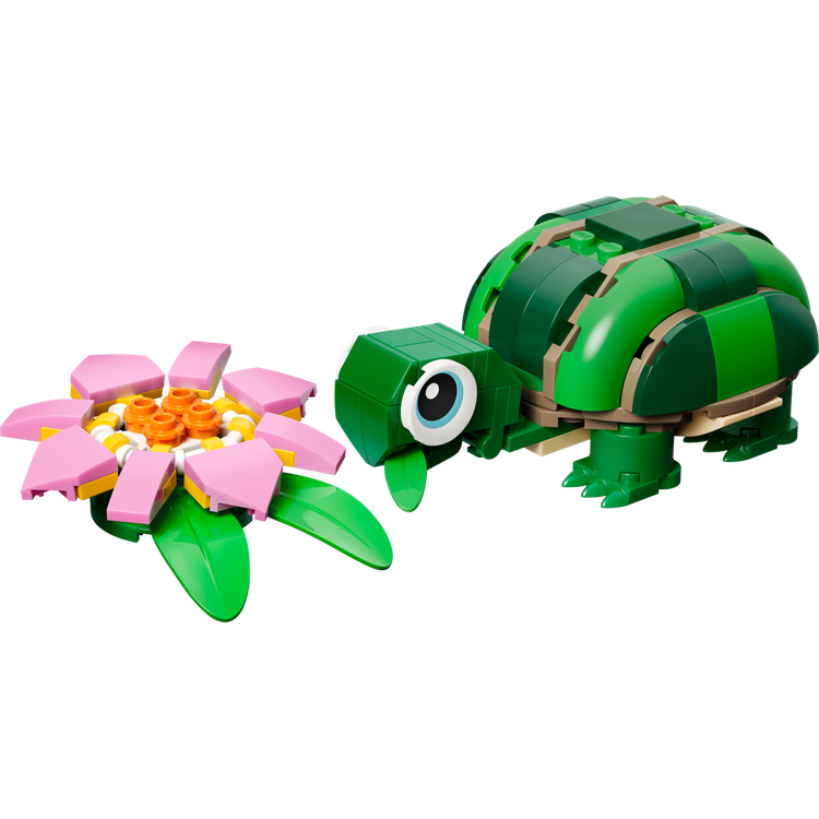 Turtle with a Water Lily Flower