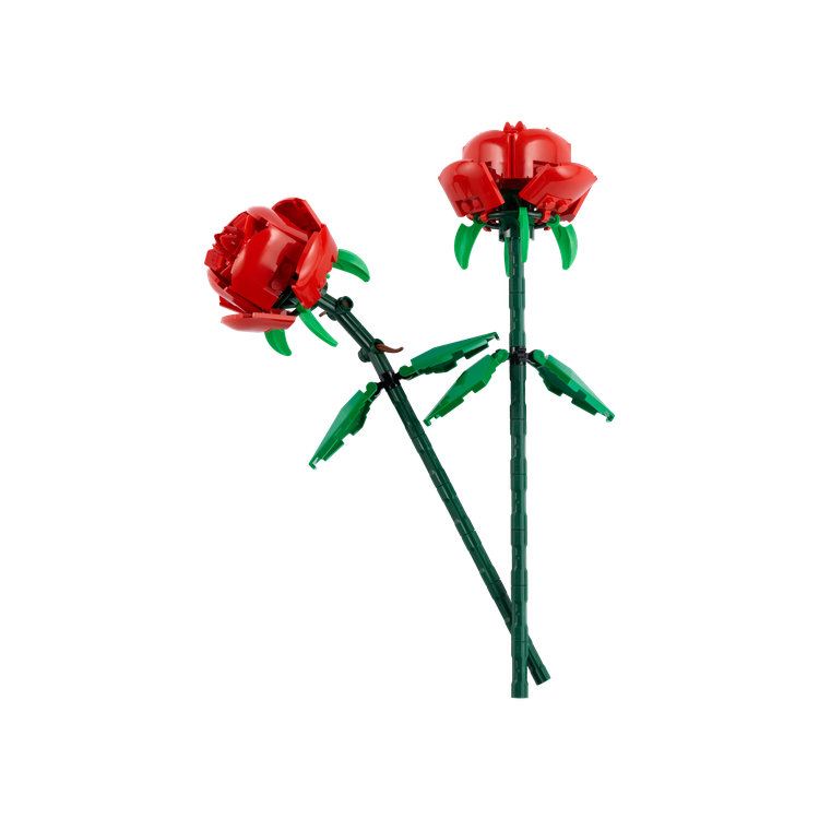 Roses
