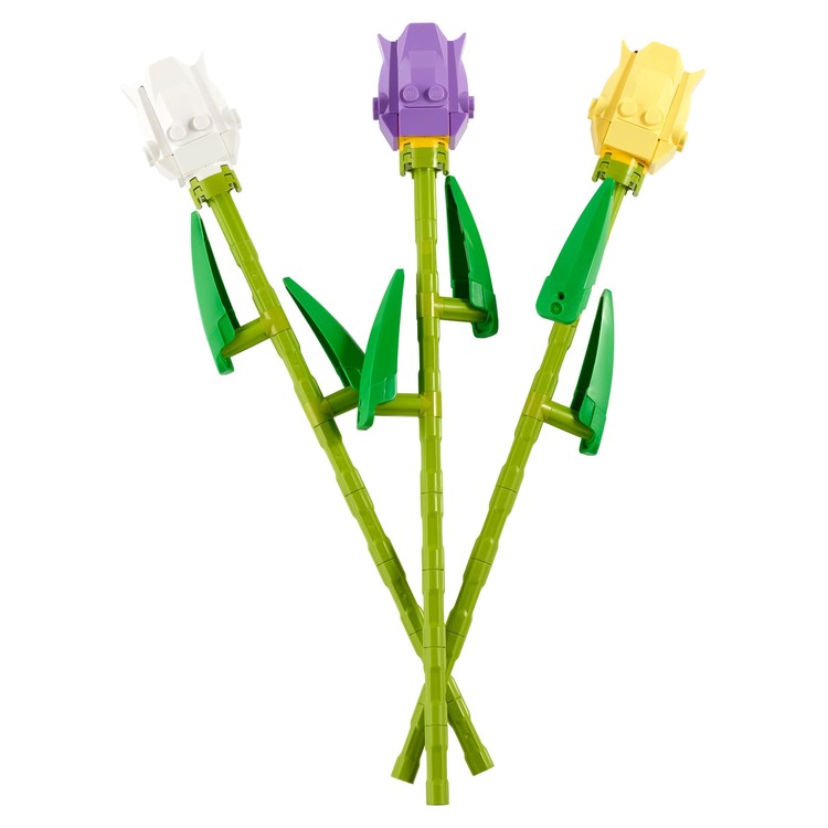Tulips