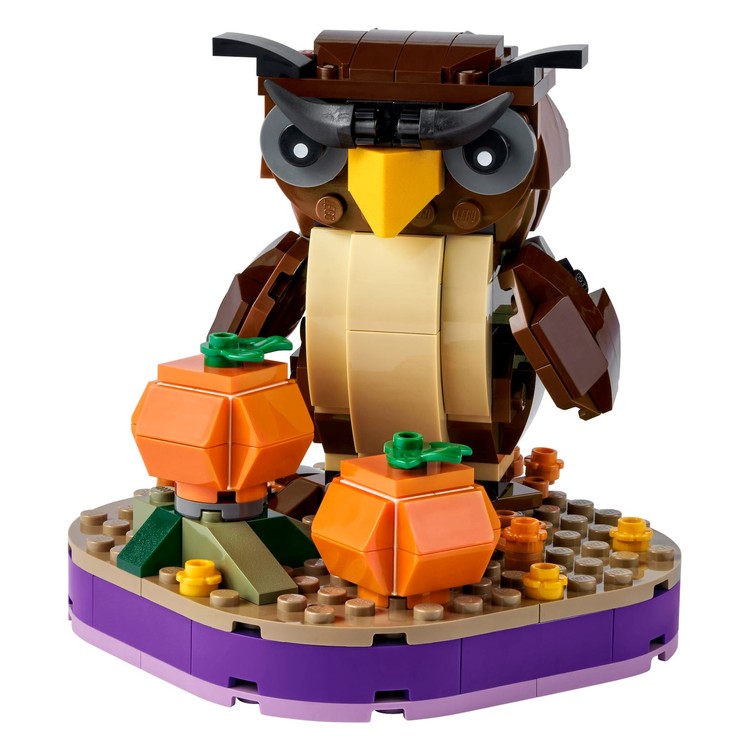 Halloween Owl