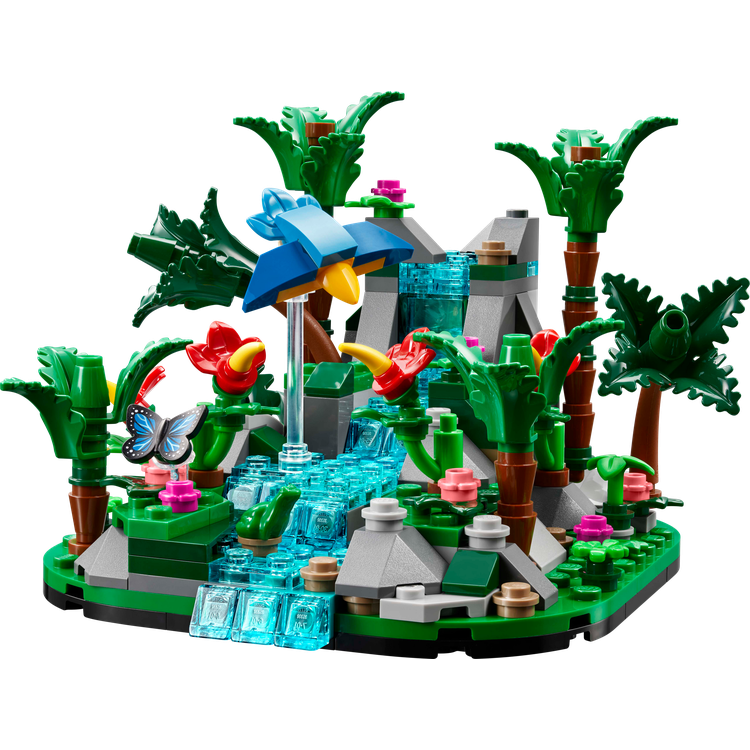 Tropical Rainforest Diorama