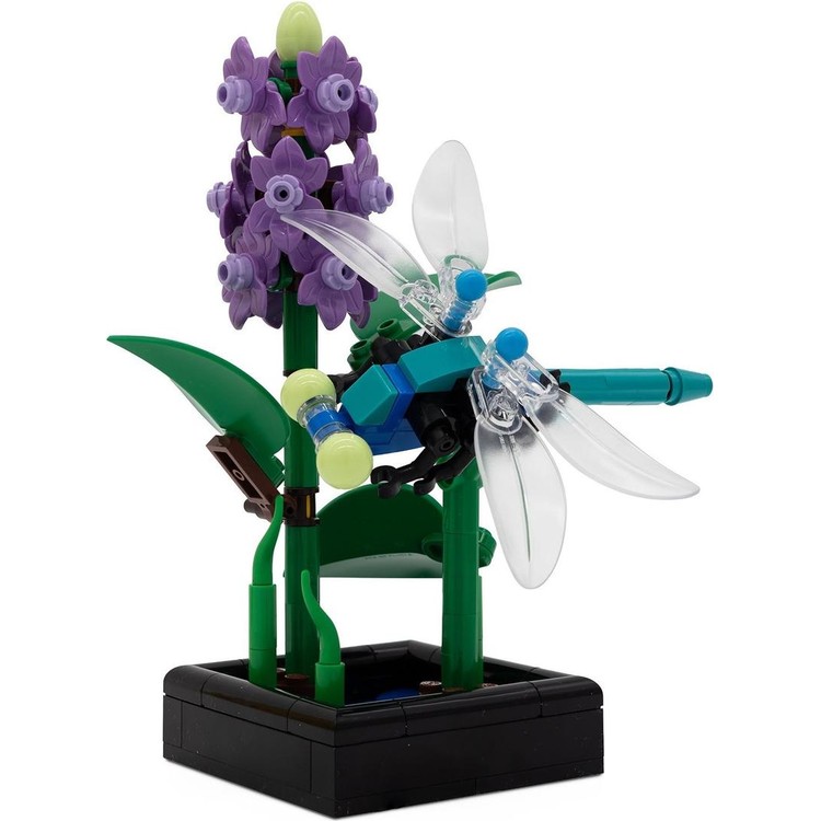 Dragonfly Garden