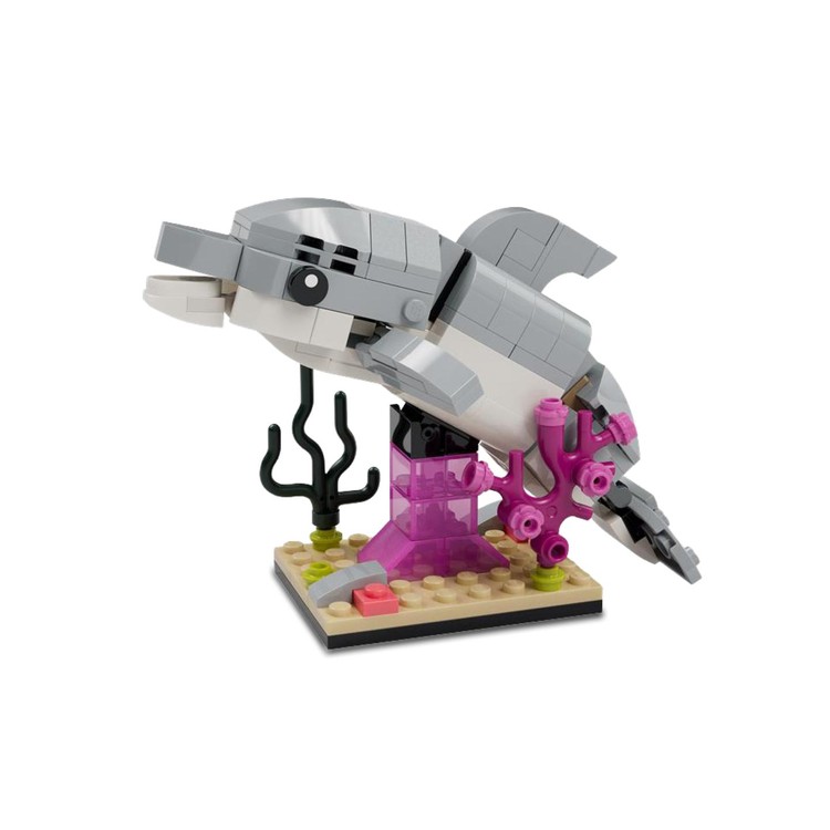 Dolphin