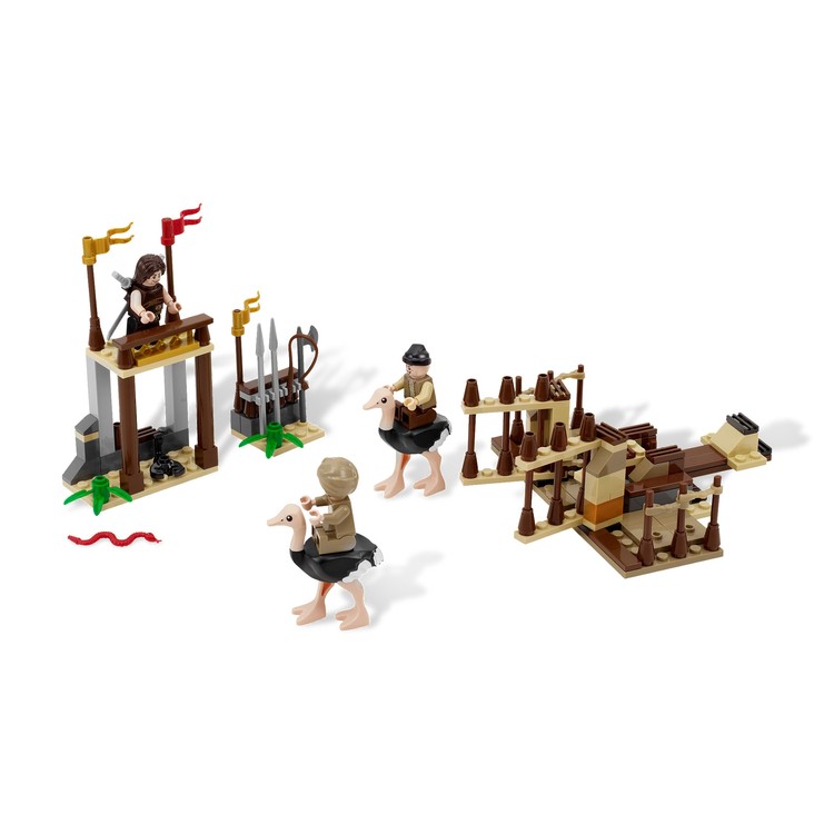 The Ostrich Race