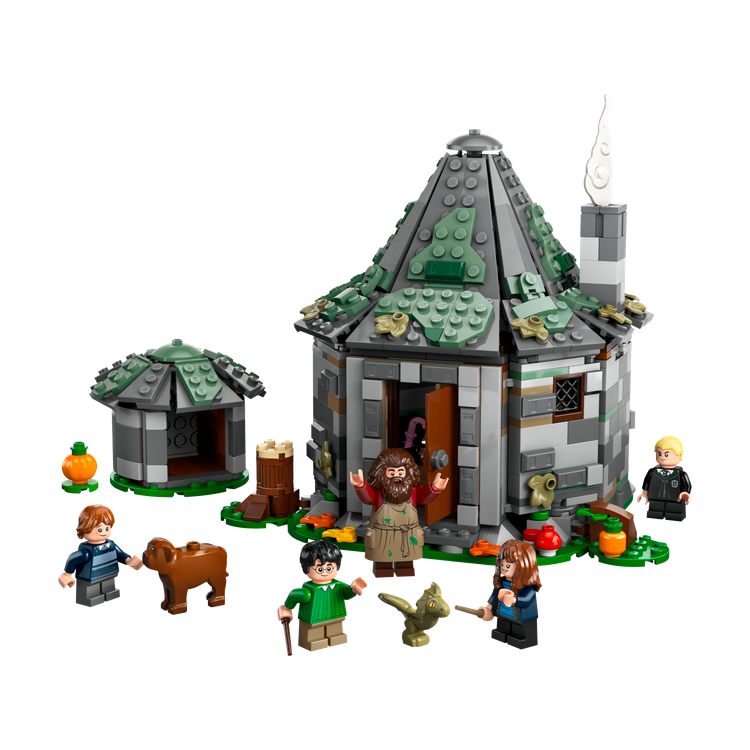 Hagrid's Hut: An Unexpected Visit