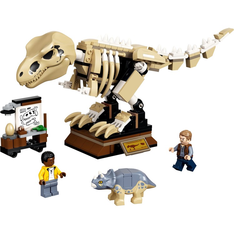 T. rex Dinosaur Fossil Exhibition