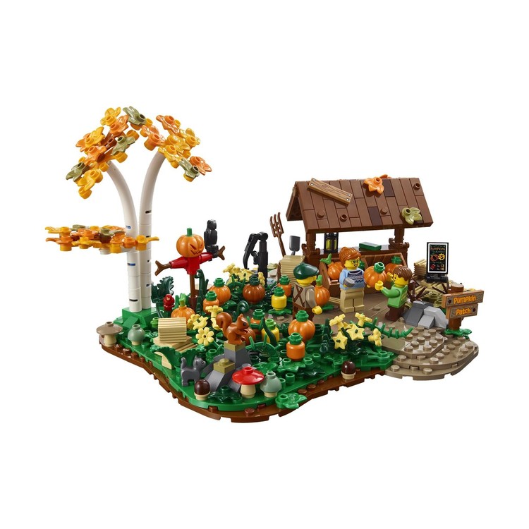 Pumpkin Patch