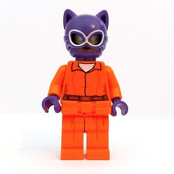 Catwoman in Prison Clothes