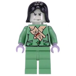 Professor Snape Boggart, Black Hair