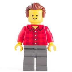 Red Torso Plaid, Dark Bluish Grey Legs, Reddish Brown Hair