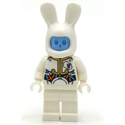 Lunar Rabbit Robot