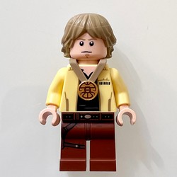 Luke Skywalker, Medal