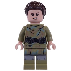 Princess Leia, Endor Outfit, Hair